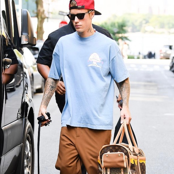 Louis Vuitton pet carrying case - Picture 8 of 8